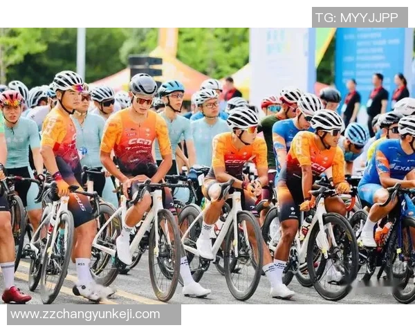 深圳篮球队的节奏揭秘：从战术到激情的全景探讨