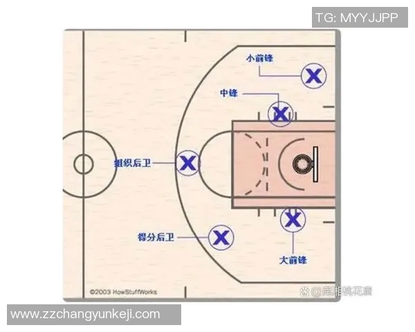 以控球后卫为核心打造全新篮球战术体系提升球队整体竞争力